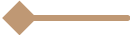 Decorative dot left